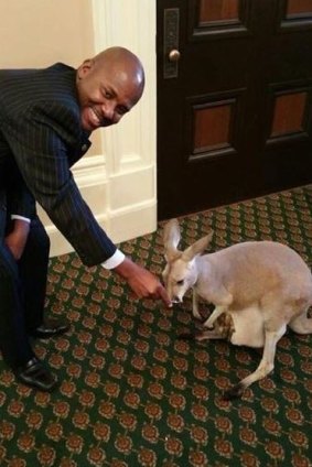 Assembly member Mike Gipson with a kangaroo and joey brought to the California state house.