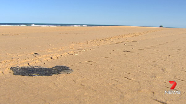 Oil "patties" were spotted along a stretch of beach on Fraser Island.