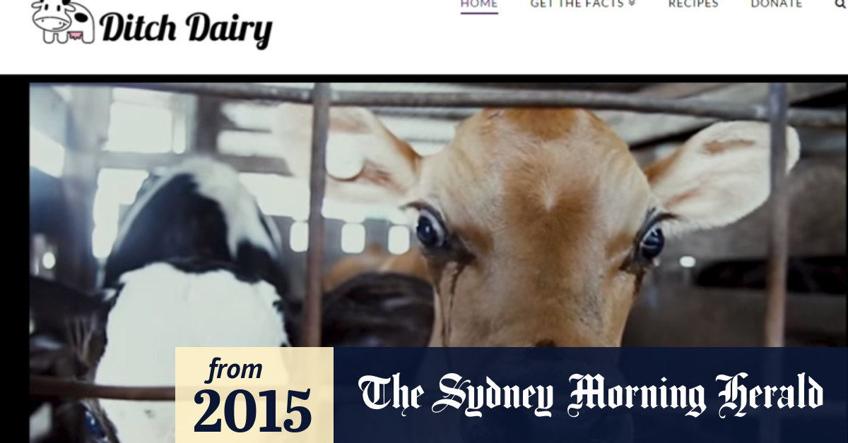 Ditch dairy' animal welfare campaign called 'irresponsible'