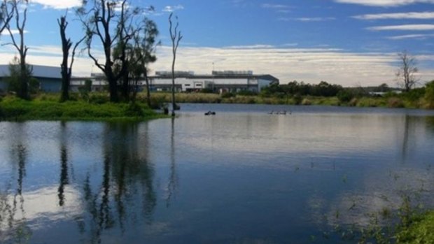 Oxley Common, near the Rocklea Markets which will be included into the expanded Oxley Creek "super park".