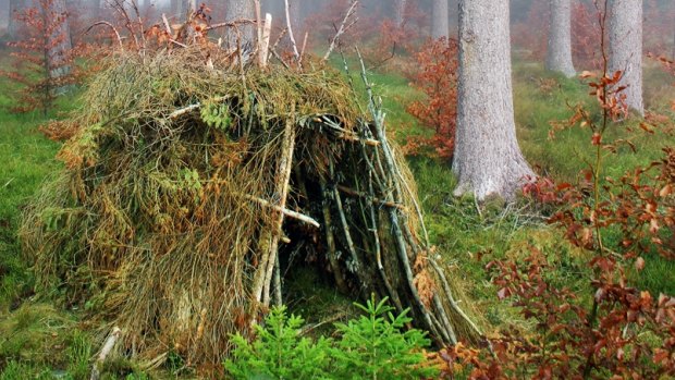 Home sweet home: Some members of the party learned to make a palace from the bracken.