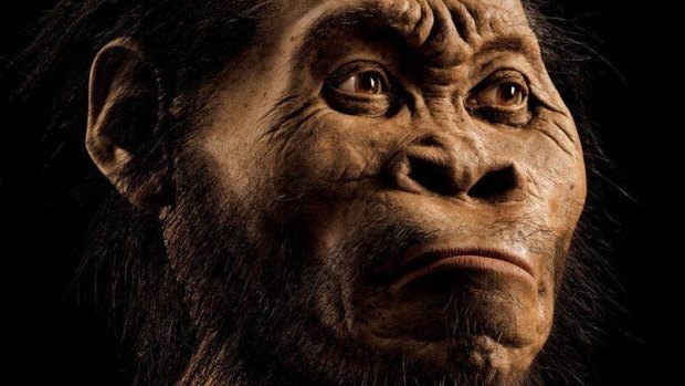 Homo naledi, an early human  species in South Africa