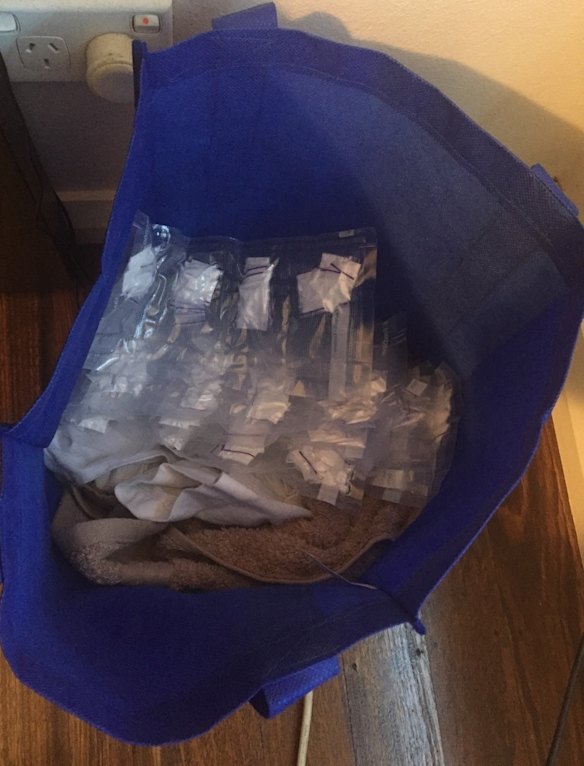 Bondi model George Gerges charged in cocaine supply sting