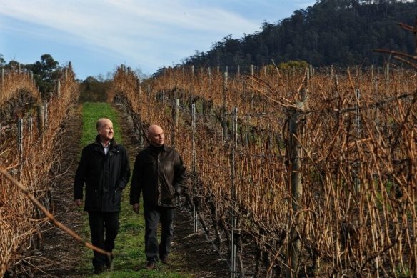 Managing directors Martin Shaw (left) and Michael Hill Smith at Tolpuddle Vineyard, Coal River Valley, Tasmania.