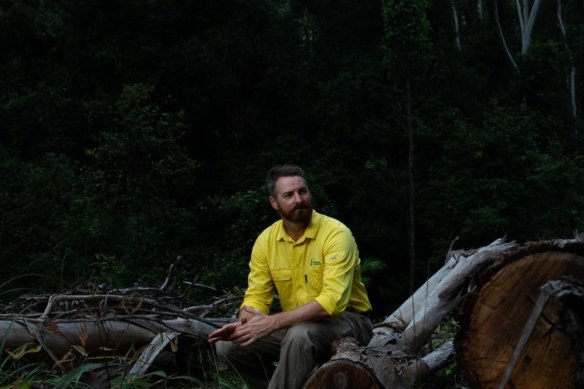 Dean Kearney, who is a senior manager for planning at Forestry Corporation, sits near an area where selective logging has recently taken place in the Lower Bucca State Forest near Coffs Harbour.