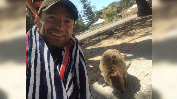 Hugh Jackman snapped a selfie with a quokka while on Rottnest Island.