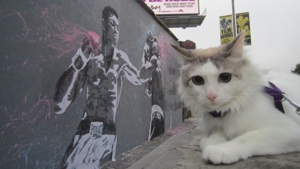 Muhammad Ali street art by Mr Brainwash, Los Angeles.