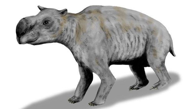 The wombat-like Diprotodon was one of Australia's megafauna.