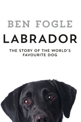 Labrador
Ben Fogle