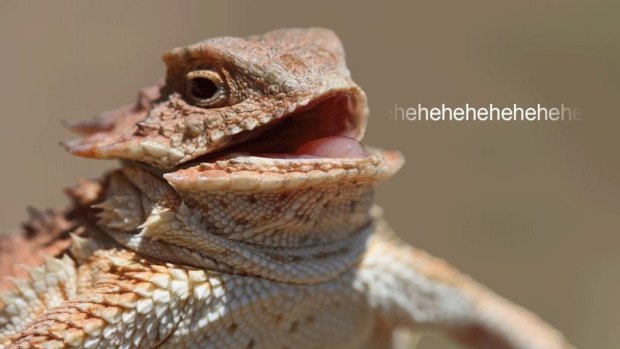 Lizard Squad has previously bragged about taking down popular gaming services like Xbox Live and PSN.