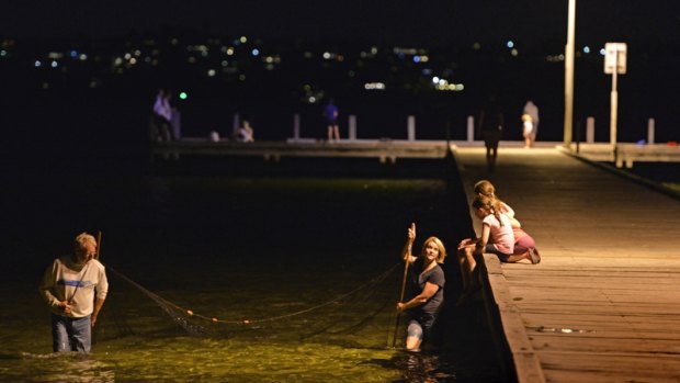 The Mohan children watch on as their grandfather Kevin Reid and their mother Erica drag their prawn net at Jetty Street in Claremont.