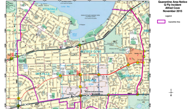 Residents of the southern Perth suburbs inside the quarantine zone faced fines for failing to comply with the restrictions on the movement of fruit and vegetables. 