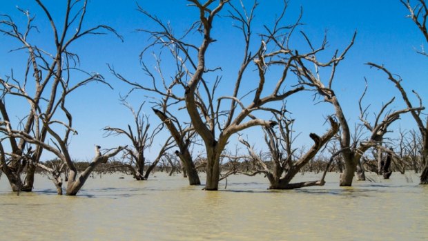 The Productivity Commission will conduct five-yearly audits of the Murray Darling Basin Plan.