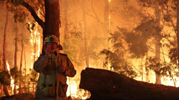 The Northcliffe bushfire in WA earlier this month ripped through some 95,000 hectares.