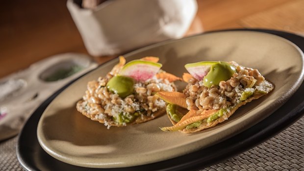 A tostada topped with ant larvae (known as escamoles in Mexico),