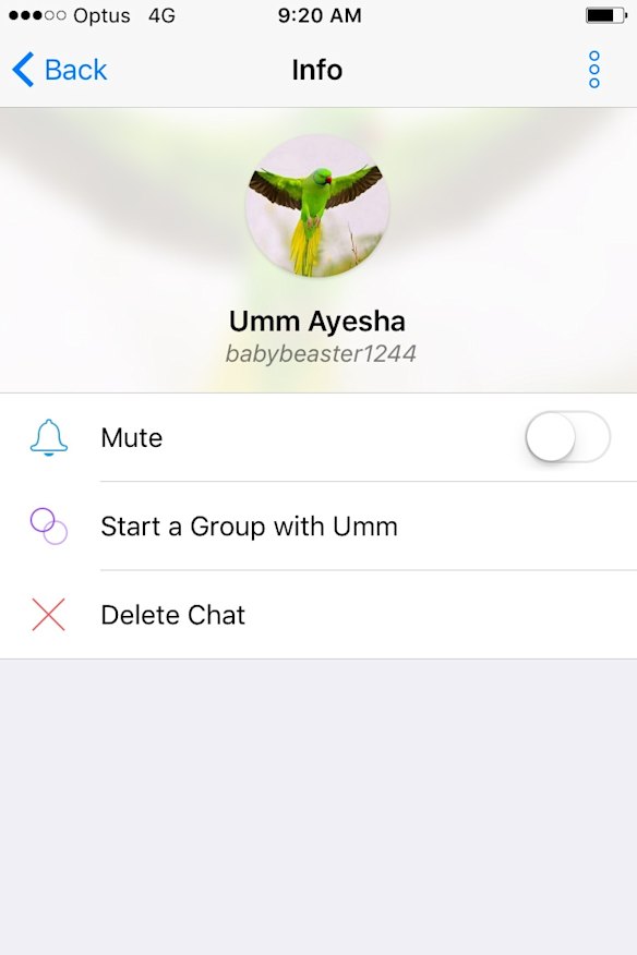 Zaynab's Kik profile, recently changed to Umm Ayesha (mother of Ayesha) and a green bird, which is a common symbol used for martyrs. 