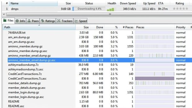 The various Ashley Madison databases enclosed in the 10GB compressed torrent file.