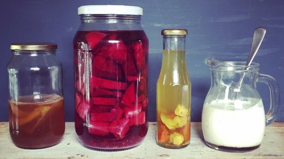 Jars of bubbling, fizzing foodstuffs at Cornersmith.