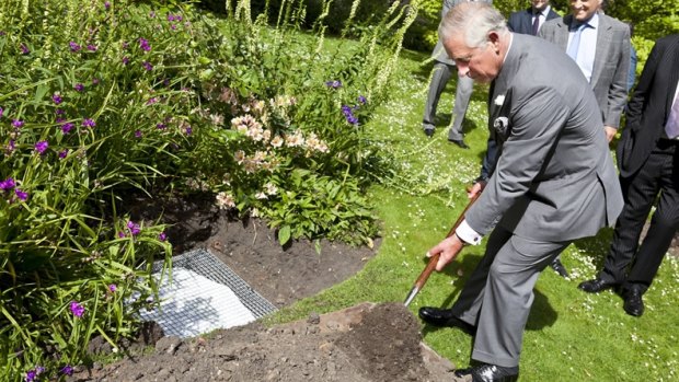 Prince Charles buries wool jumpers in the gardens of Clarence House.