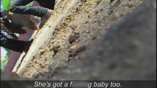 A group of men surround a possum and its baby on the track ahead of the mother being used for live baiting. 