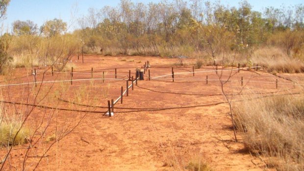 Seismic monitoring equipment at Warramunga monitoring station near Tennant Creek in Northern Territory.