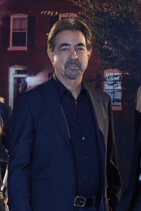 Joe Mantegna as David Ross.