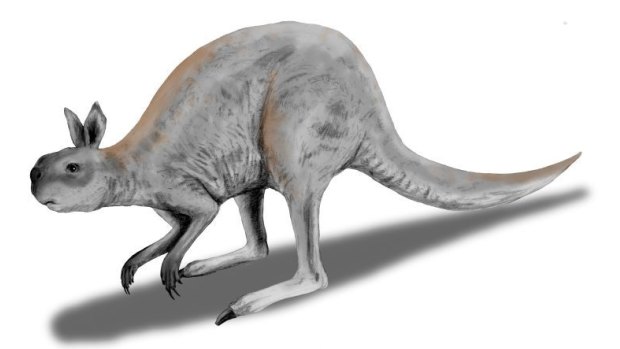 The giant kangaroo: Procoptodon.
