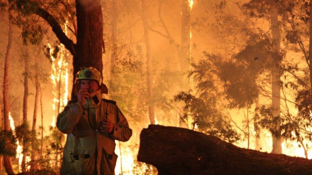 The Northcliffe bushfire in WA earlier in the year ripped through some 95,000 hectares.