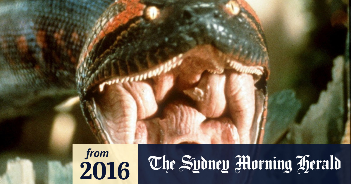 sydney morning herald