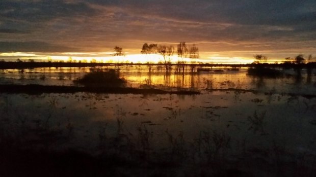 Sunset at Longreach after record-breaking rainfall.