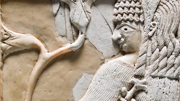 City of treasures: where to find Sydney's most amazing objects