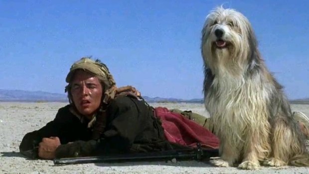 A young drifter (Don Johnson) roams a post-apocalyptic wasteland in A Boy and his Dog.