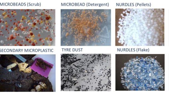 Just some of the microplastics that can be found in the world's oceans.