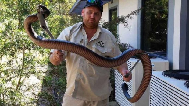 "Heavy as": Even catcher Geoff Delooze was surprised by the size of this snake.