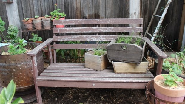 This sustainable garden in Ashwood will open on September 26 and 27.