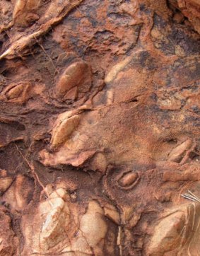 Rock formations in the Pilbara photographed by Dr Allwood.