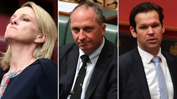 Referred to the High Court: Nationals Fiona Nash, Barnaby Joyce and Matt Canavan.
