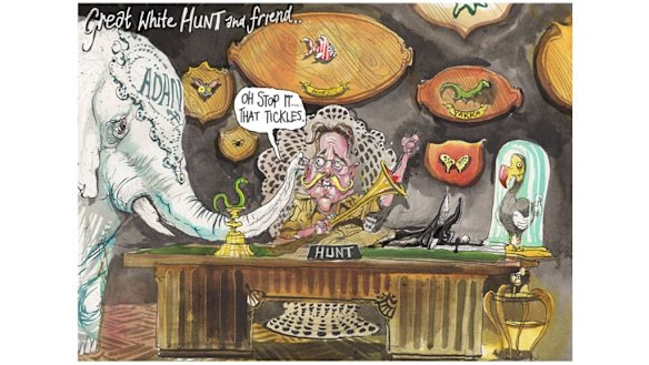 Illustration: David Rowe