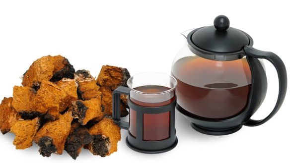 Chaga mushroom. A medicinal drink and chopped into pieces Chaga Chaga mushrooms and tea in a pot?