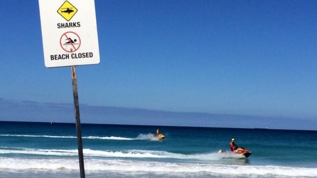 Shark sightings closed four Perth beaches on Monday.