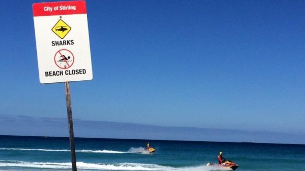 The shark sightings have led Fisheries to put Perth's northern beaches on alert.