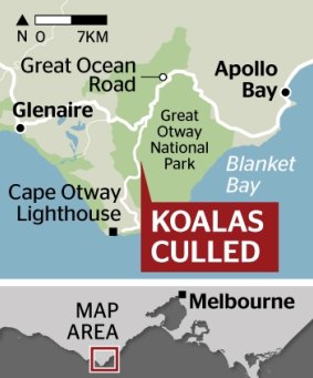 Where the koalas were culled.