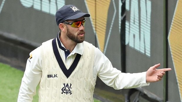 Way in: Glenn Maxwell is back for Victoria