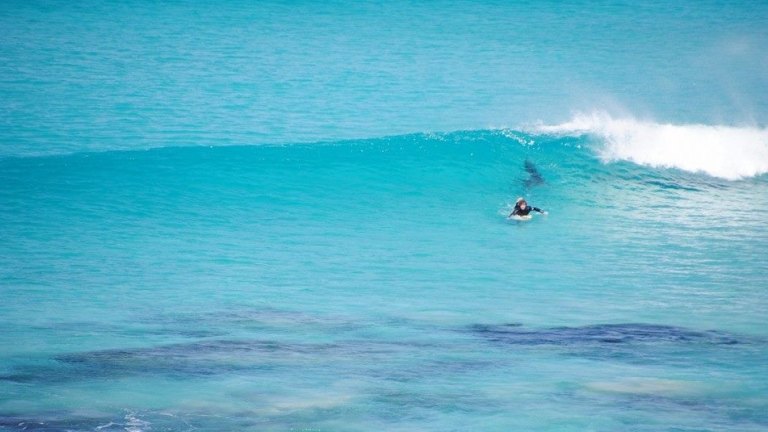 stunning photos emerge of surfer s esperance shark encounter