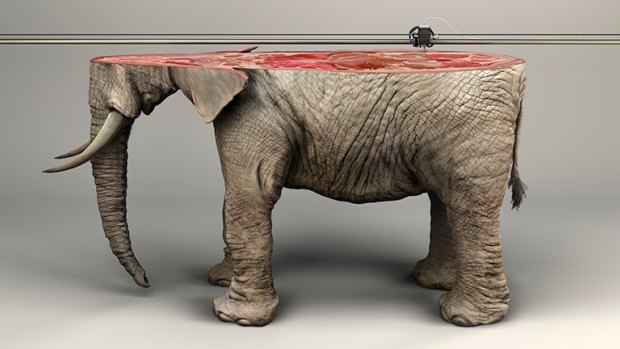 A 3D printer makes the planet a replacement elephant in an advertisement for a new wildlife protection campaign. 