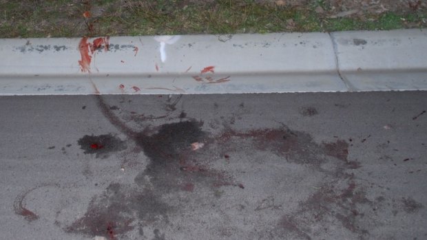 Blood is smeared on the street where two kangaroos were savagely beaten to death.