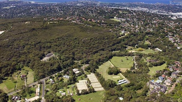 It's pretty green down there. An aerial view with Frenchs Forest to the right, where people value a sense of personal and neighbourhood safety.