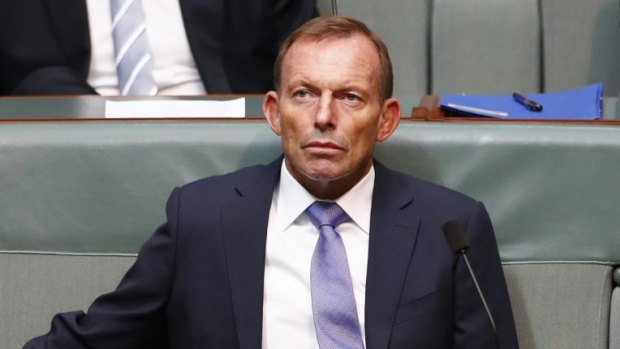 Former prime minister Tony Abbott in Parliament this week.