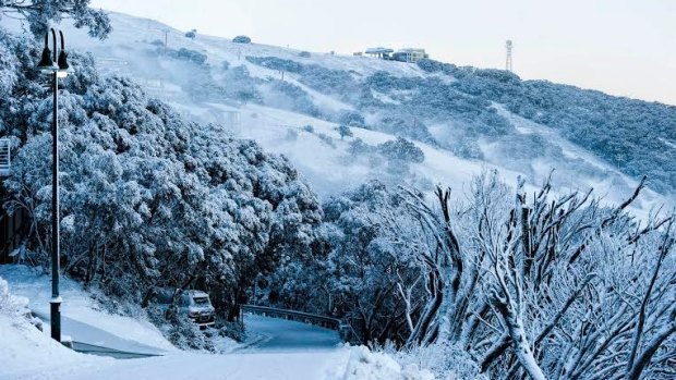 Mount Buller in Victoria received a good dump of snow over the weekend.  