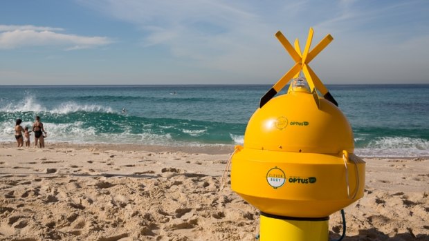 Sonar shark detection devices are to be trialled at five NSW beaches.